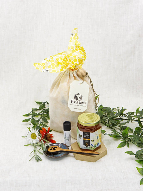 Honey Bee-Inspired Gift Bag
